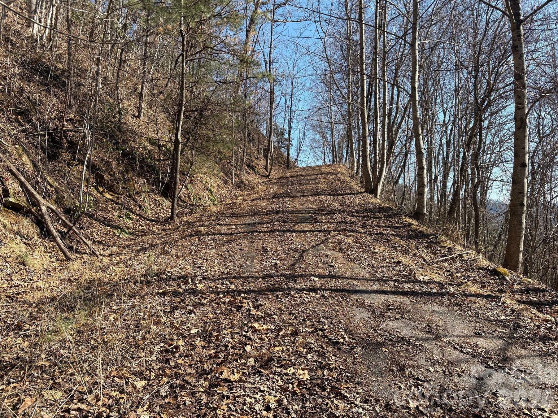 0 Brush Creek Road #37 & 41 - Photo 10