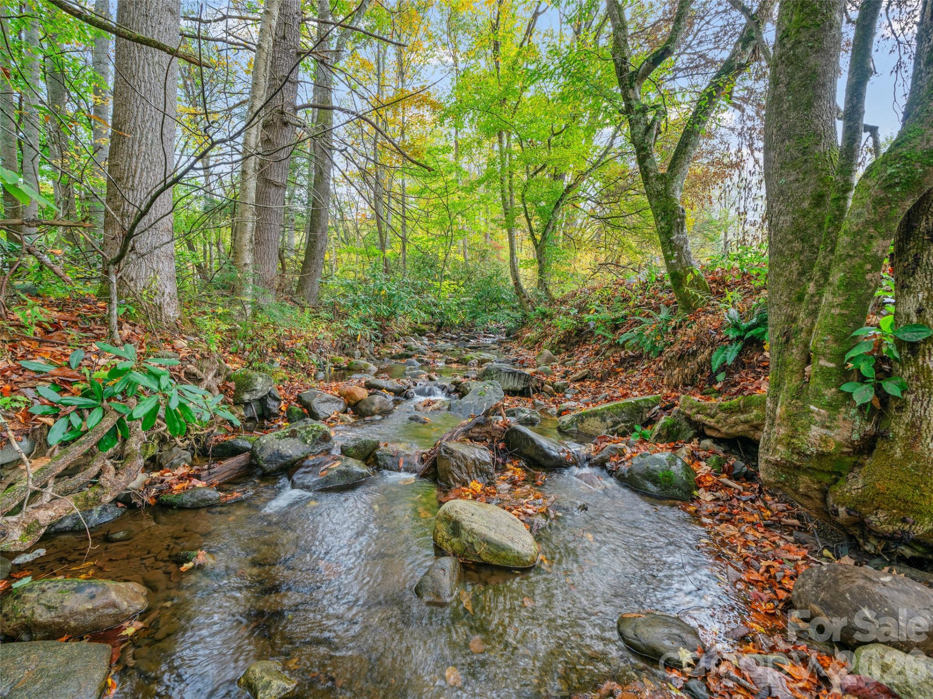 1030 Hughes Gap Road - Photo 20