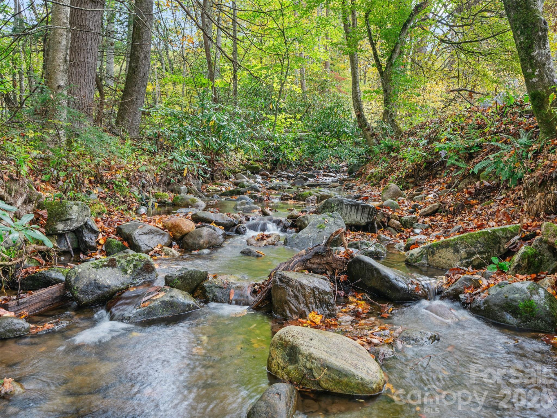 1030 Hughes Gap Road - Photo 3