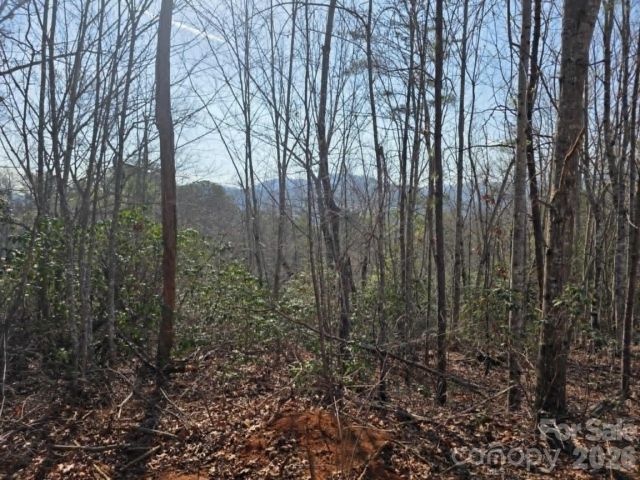 Lot 8 Kerlee Lane, Old Fort, NC, 28762