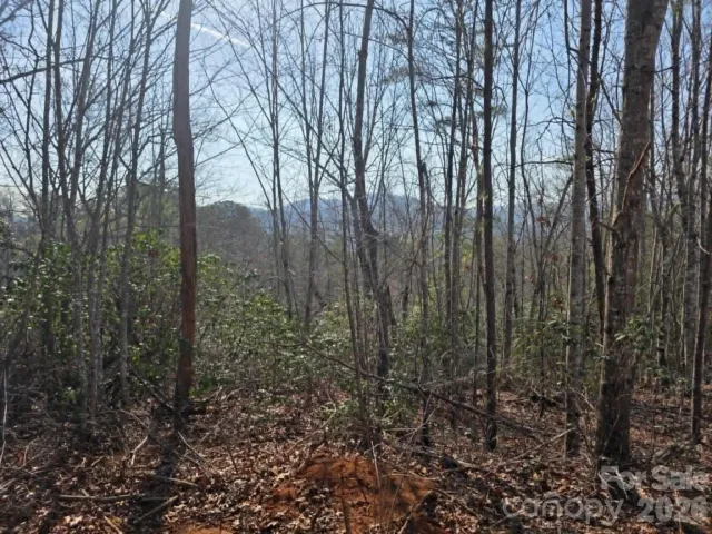 Lot 8 Kerlee Lane