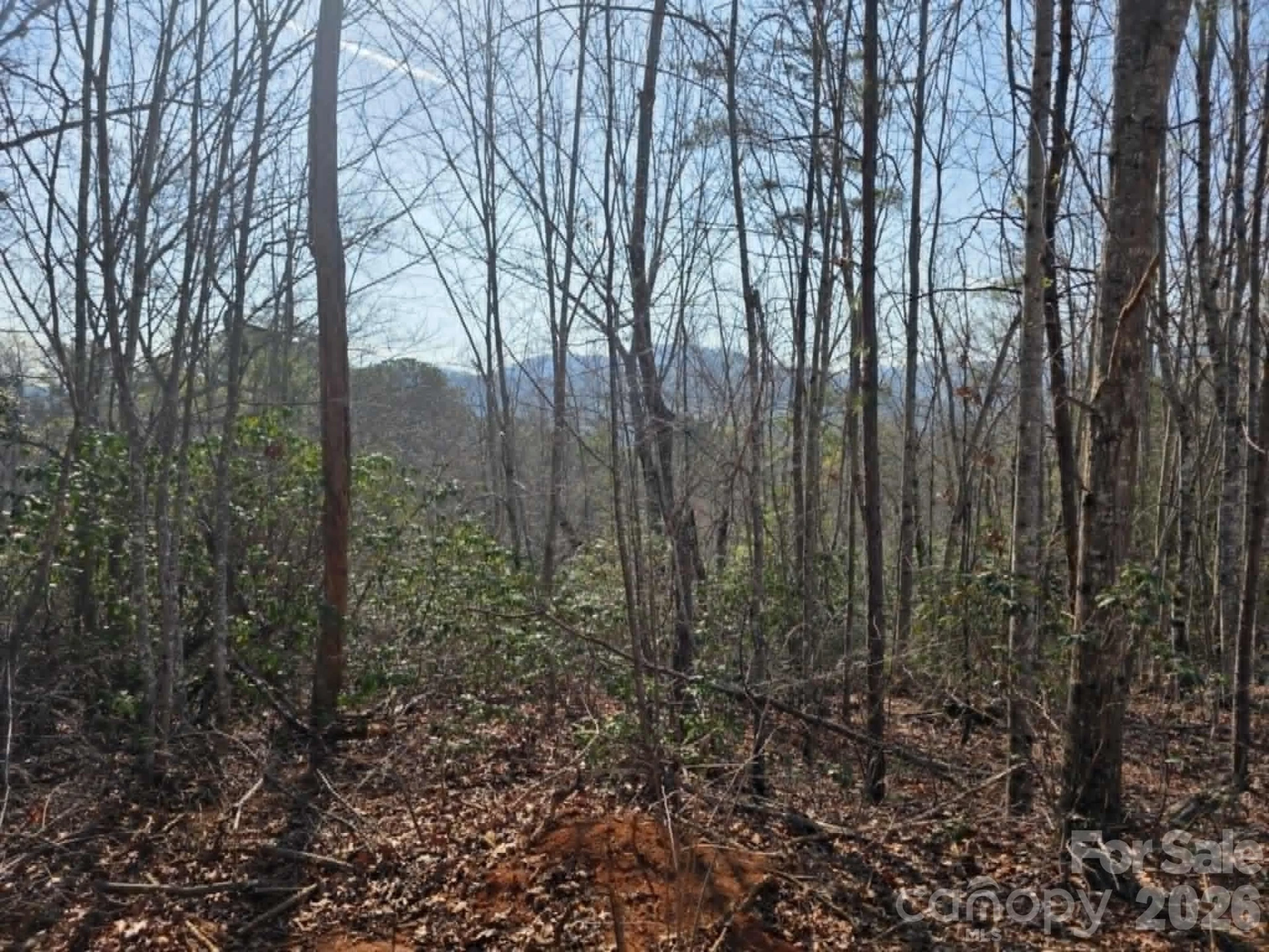Lot 8 Kerlee Lane