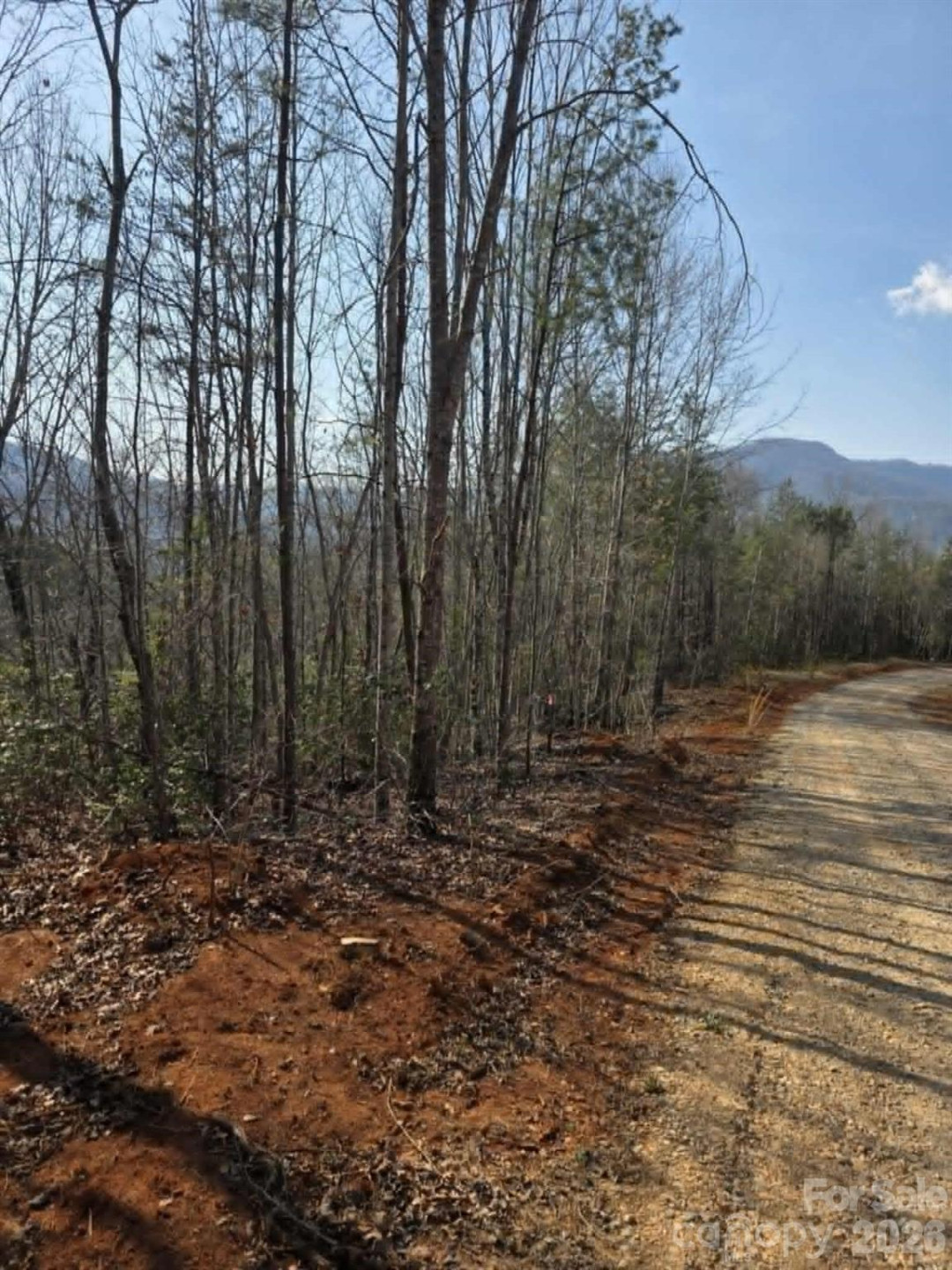 Lot 8 Kerlee Lane - Photo 2