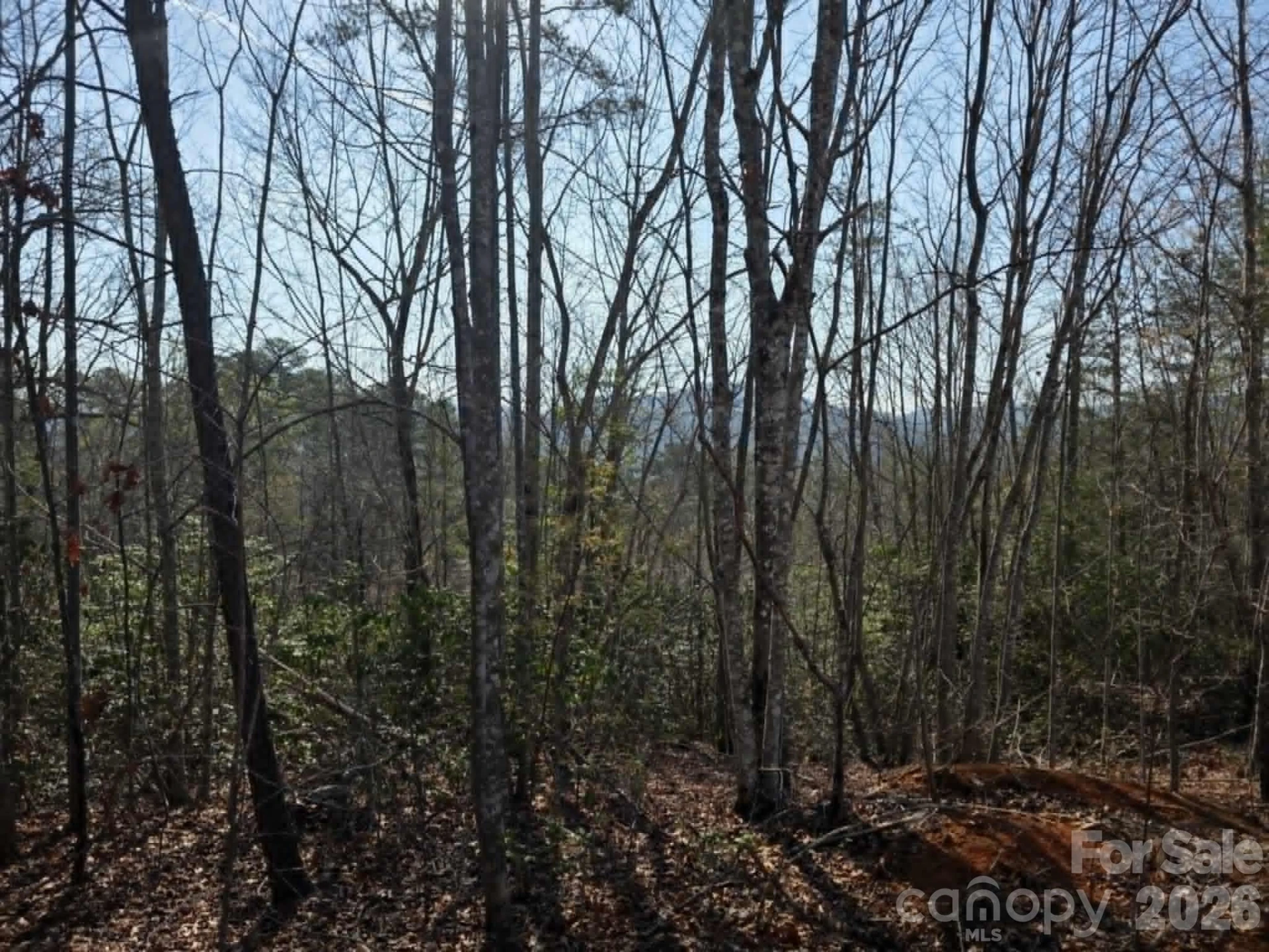 Lot 8 Kerlee Lane - Photo 3