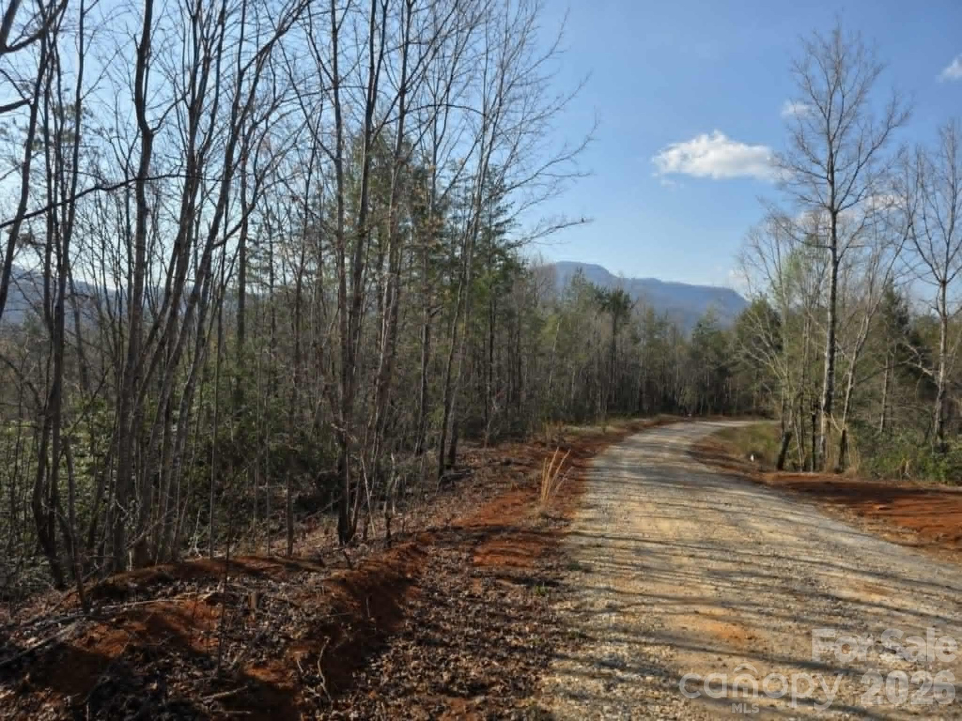 Lot 8 Kerlee Lane - Photo 4