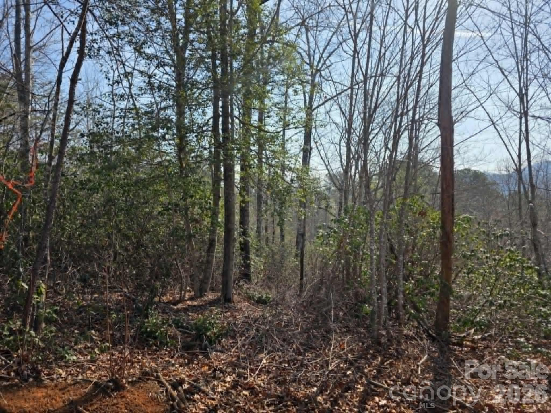 Lot 8 Kerlee Lane - Photo 5