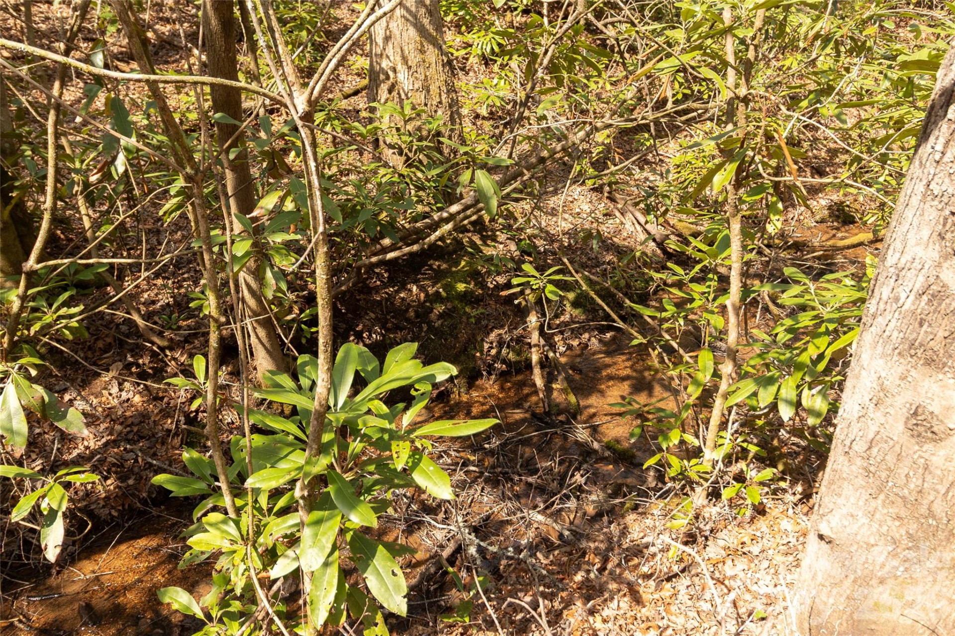 106 Cabin Creek Road - Photo 38