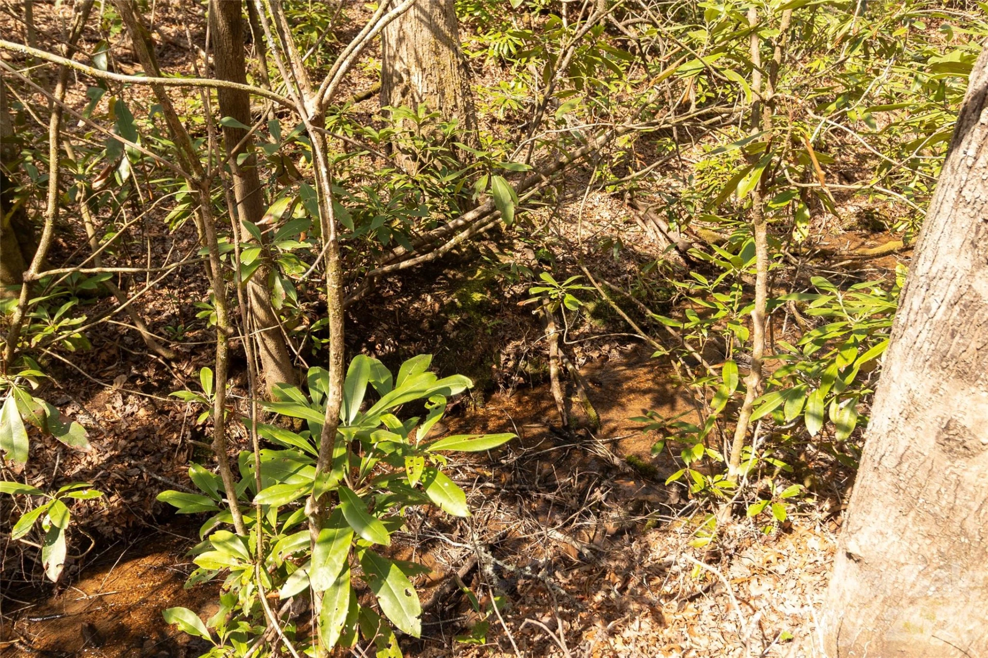 106 Cabin Creek Road - Photo 32