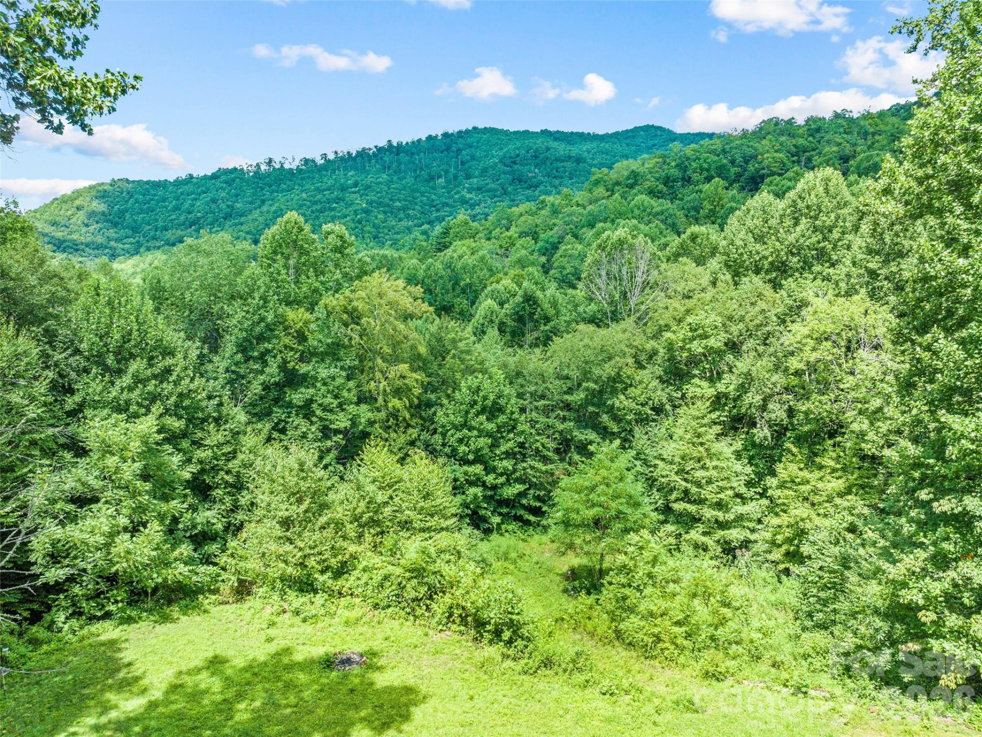 247 Three Springs Drive - Photo 3