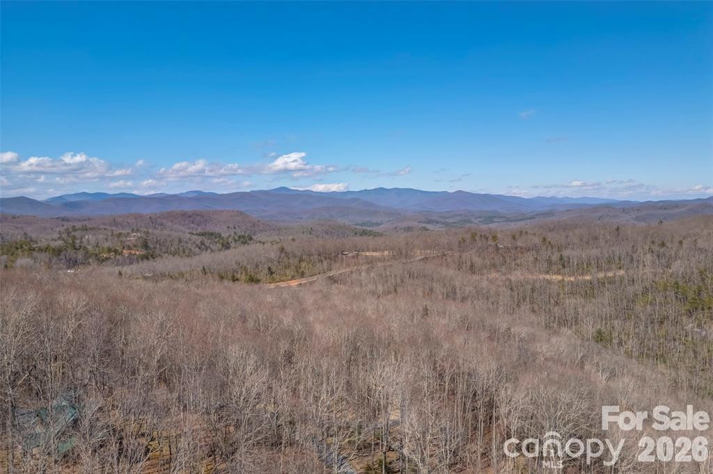 TBD Loganberry Lane - Photo 2