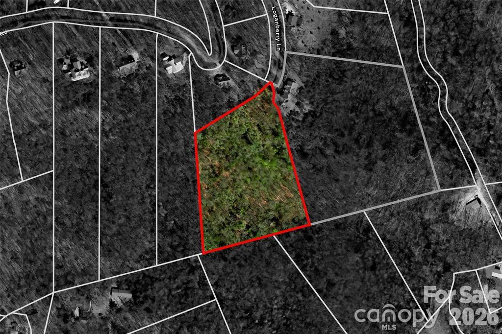 TBD Loganberry Lane - Photo 12