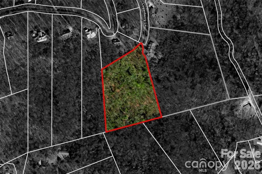 TBD Loganberry Lane - Photo 12