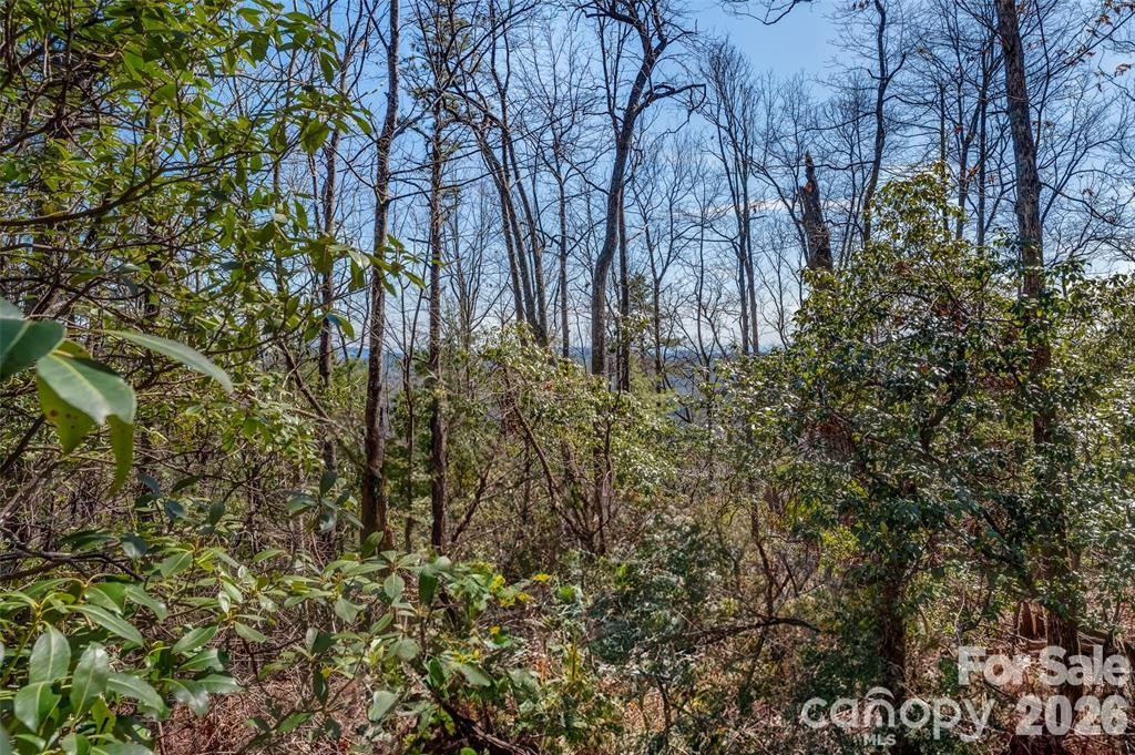 TBD Loganberry Lane - Photo 4