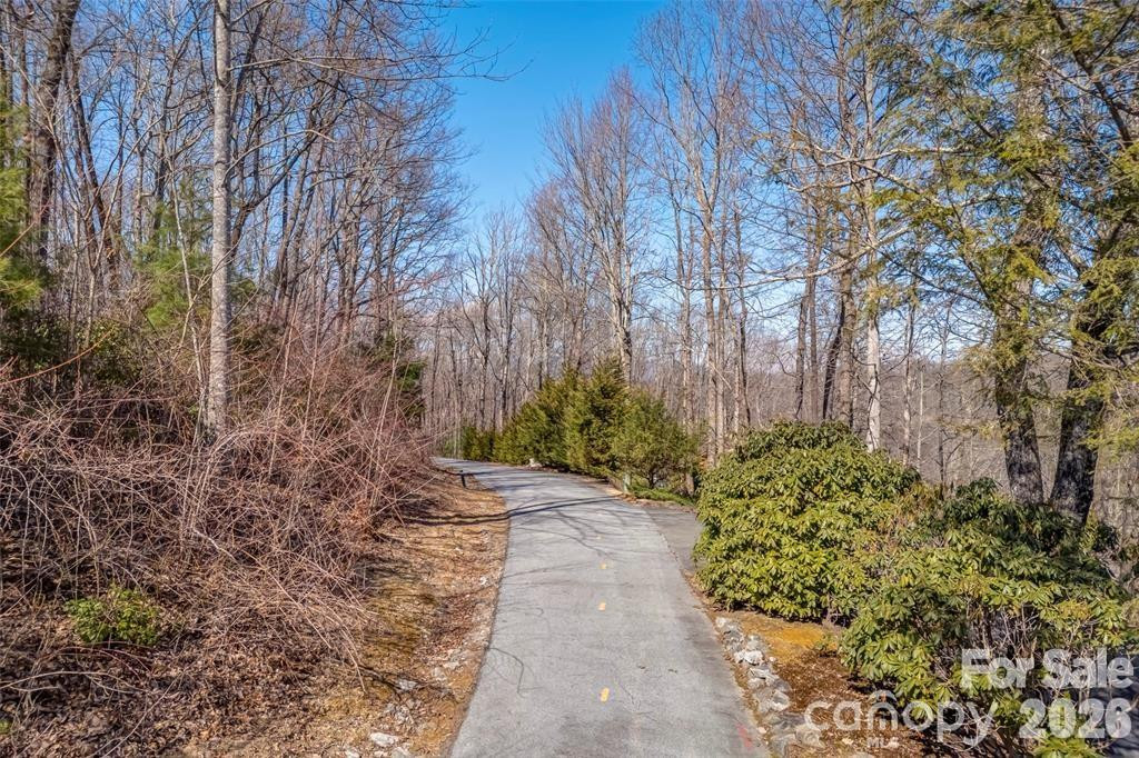 TBD Loganberry Lane - Photo 5