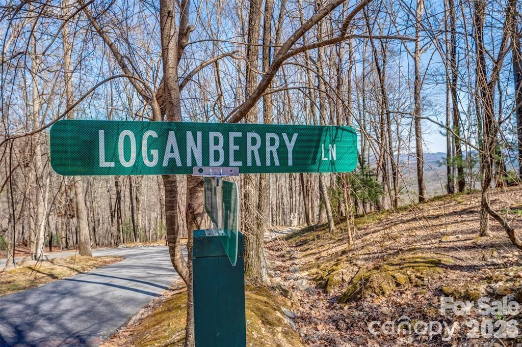 TBD Loganberry Lane - Photo 10