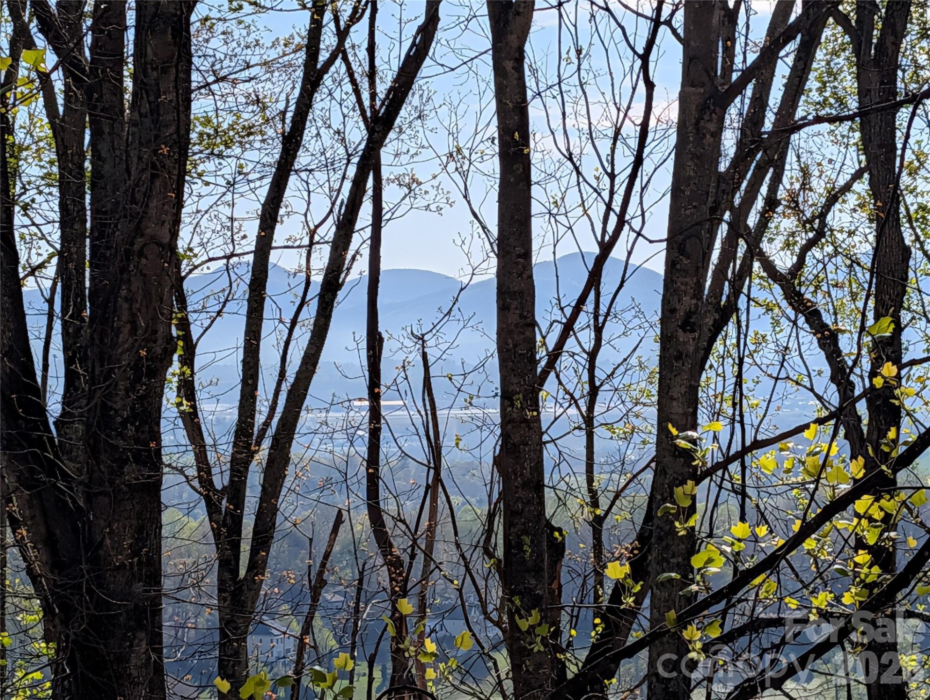 4 Wild Dogwood Trail - Photo 36