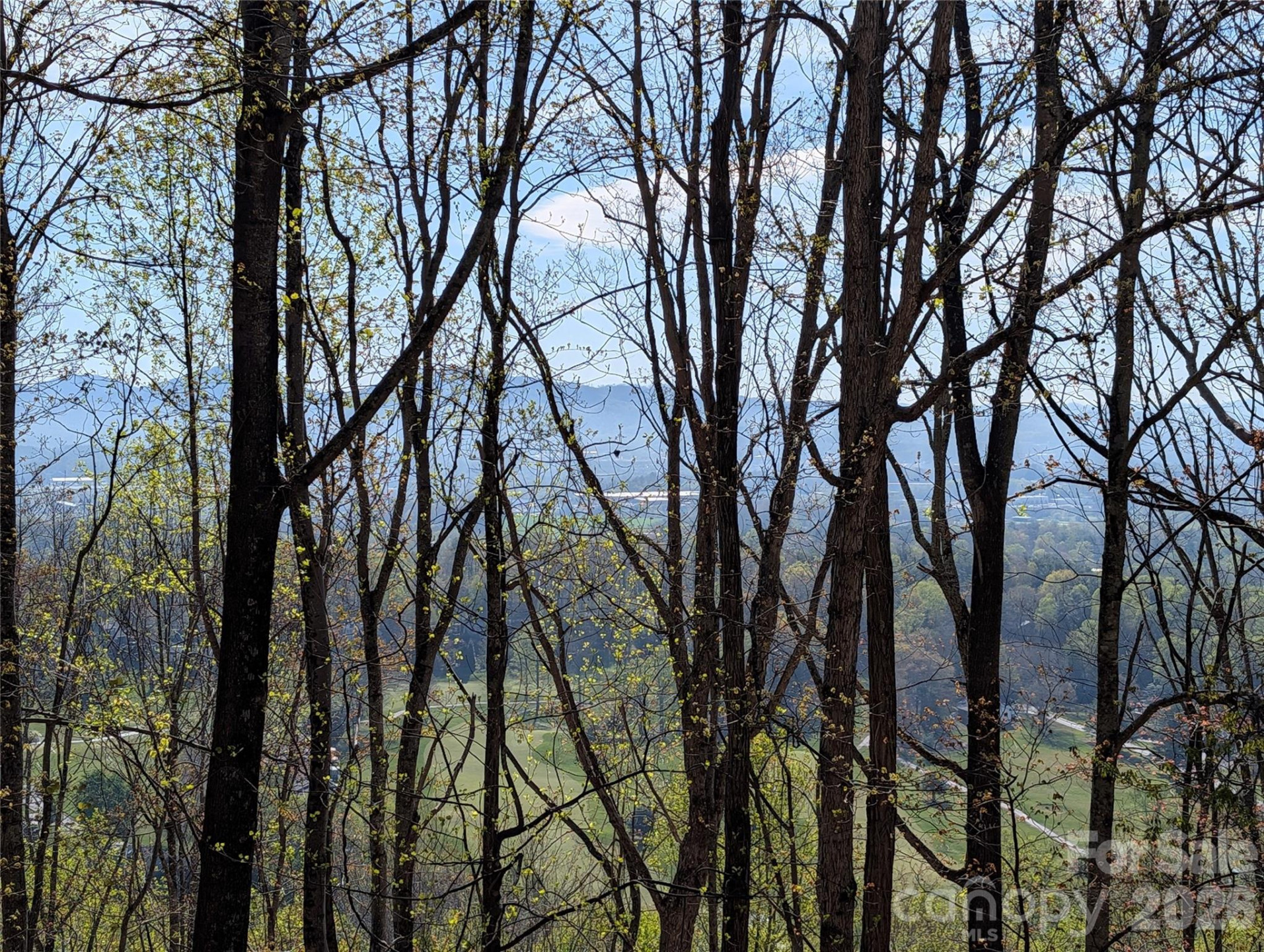 4 Wild Dogwood Trail - Photo 37