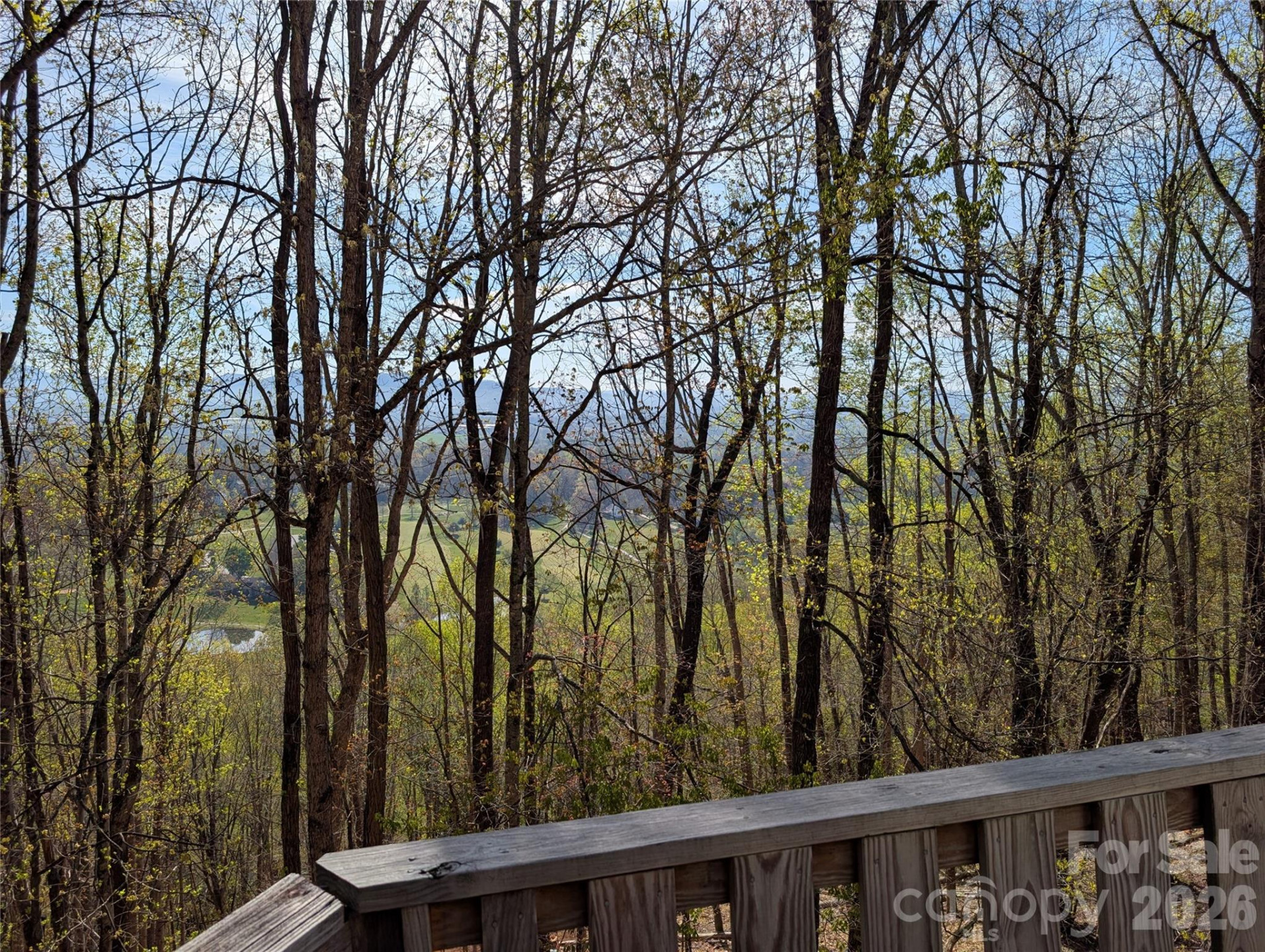 4 Wild Dogwood Trail - Photo 39
