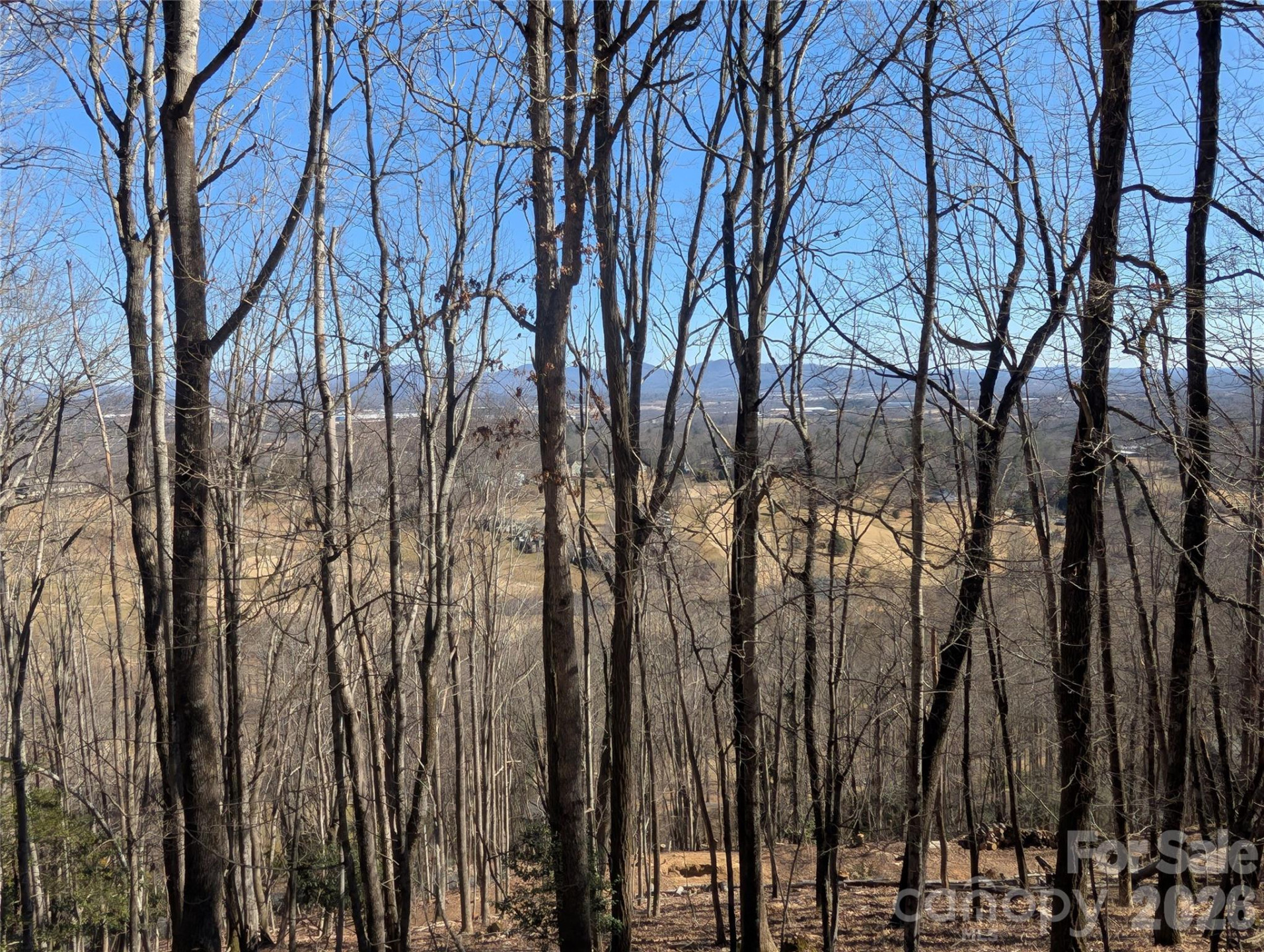 4 Wild Dogwood Trail - Photo 5