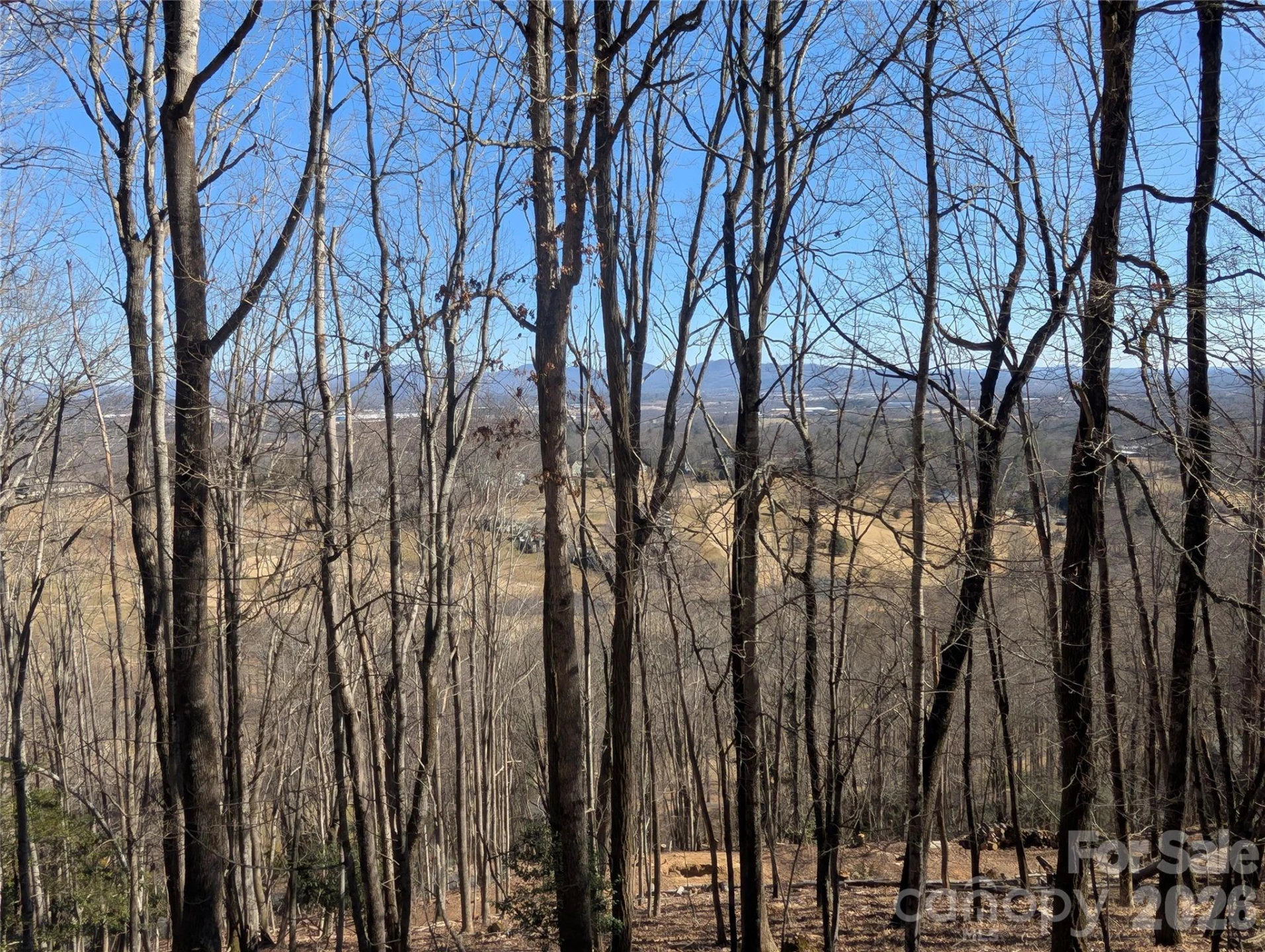 4 Wild Dogwood Trail - Photo 5