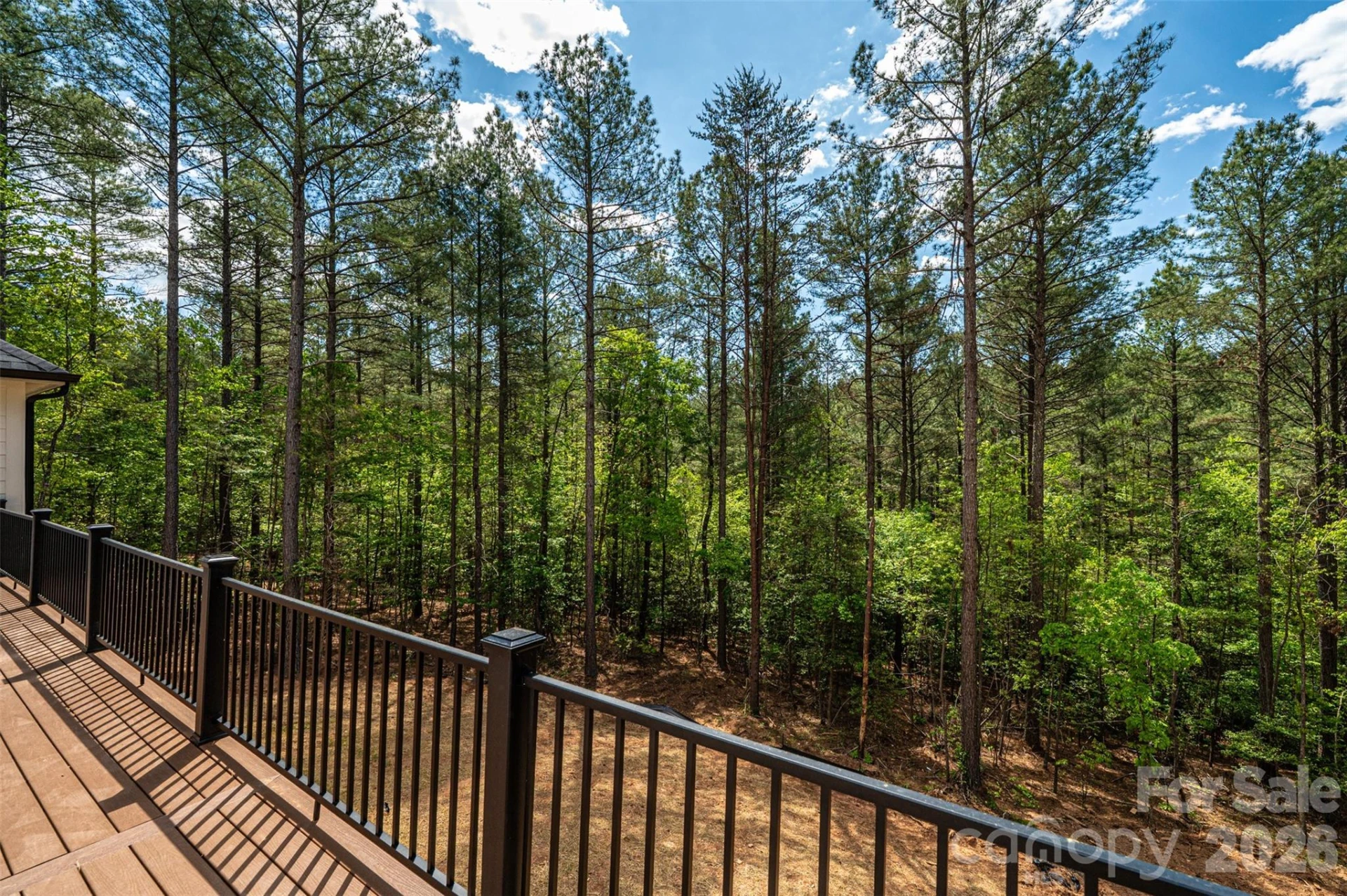 2157 Anchor Lane - Photo 13