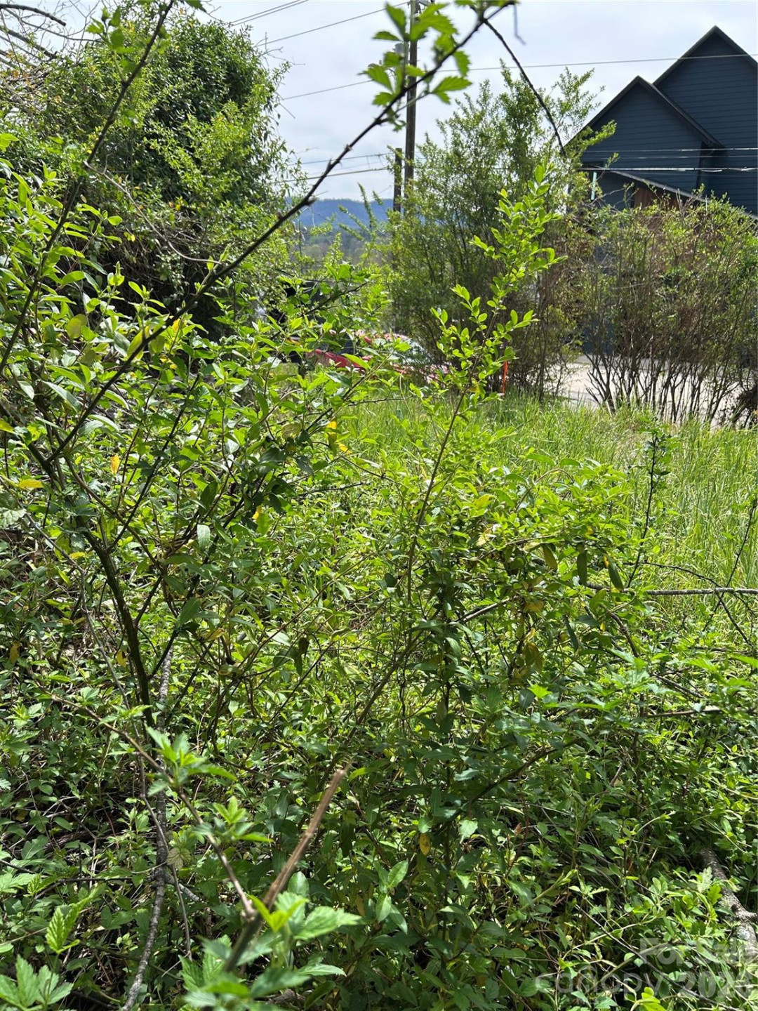 99999 Lamb Avenue #1 - Photo 4