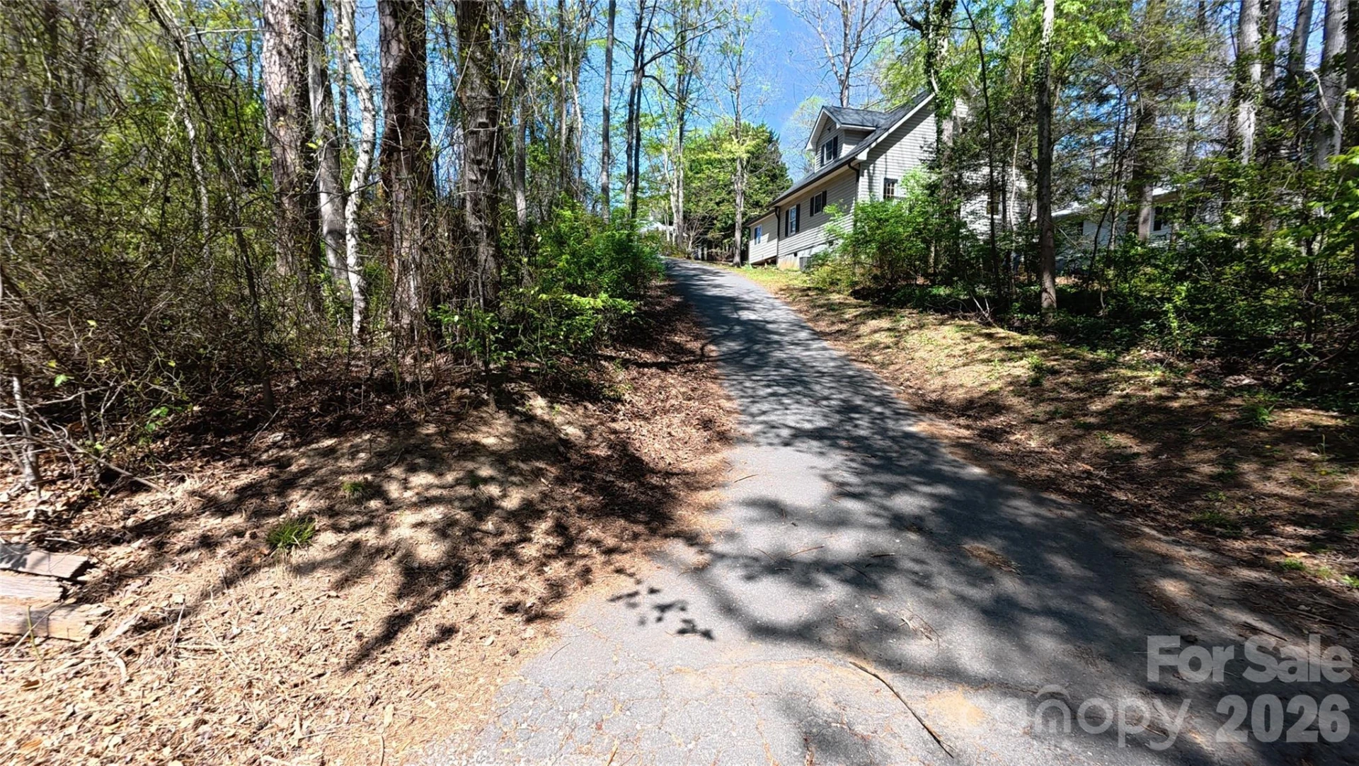 20 Homewood Drive - Photo 3