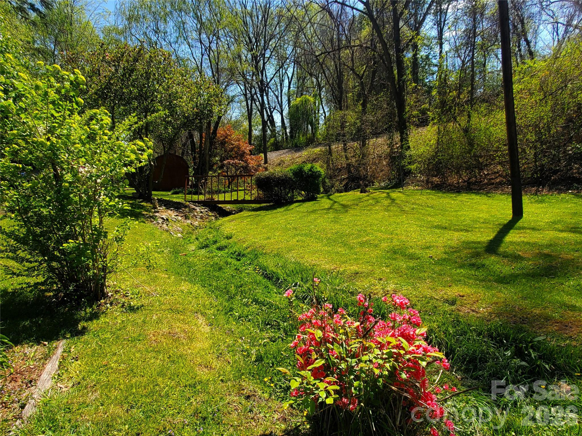 20 Homewood Drive - Photo 5