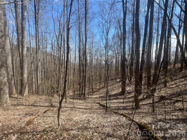 200 Wolverine Court, Waynesville, NC, 28785