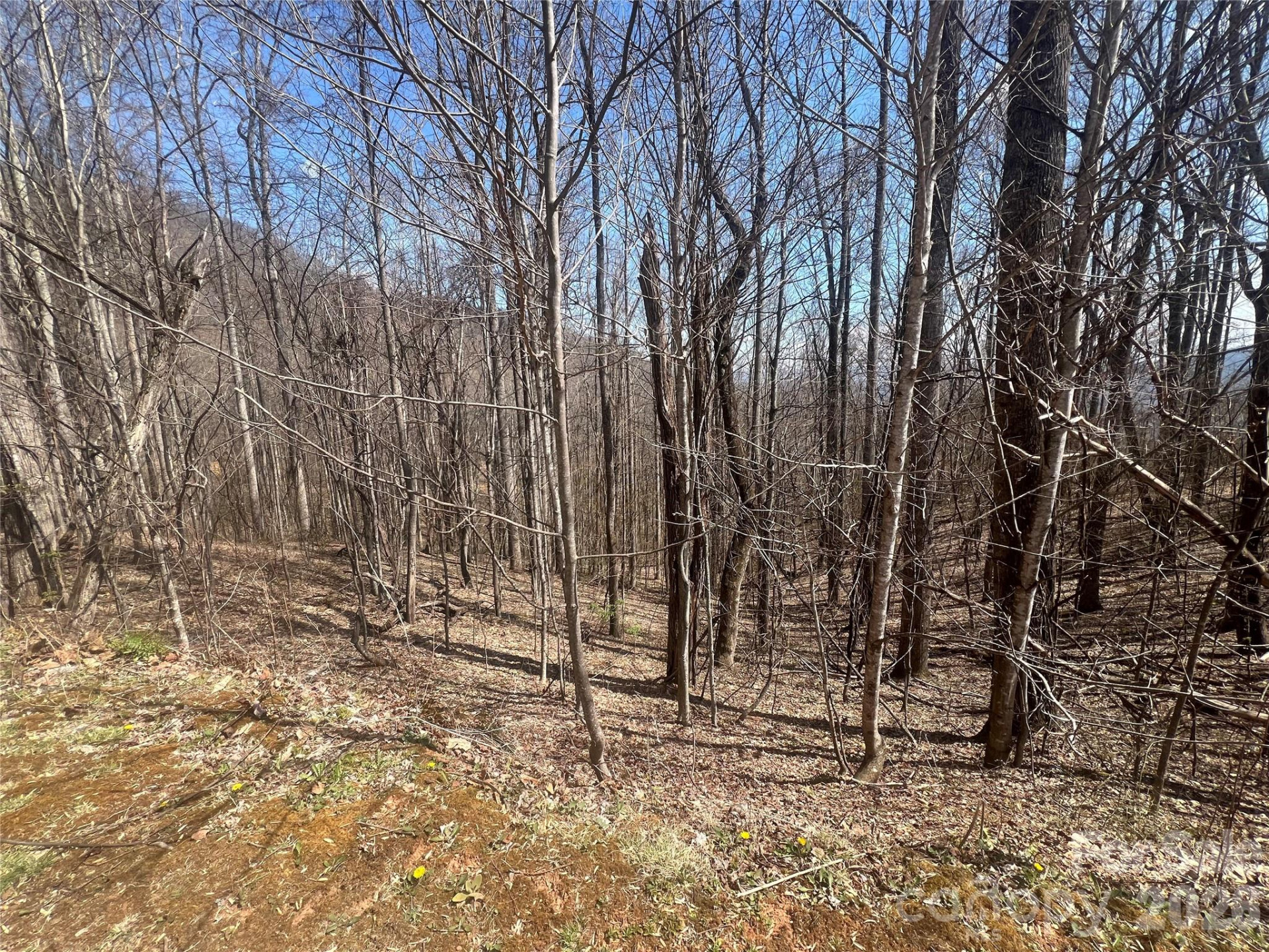 200 Wolverine Court #44 - Photo 14