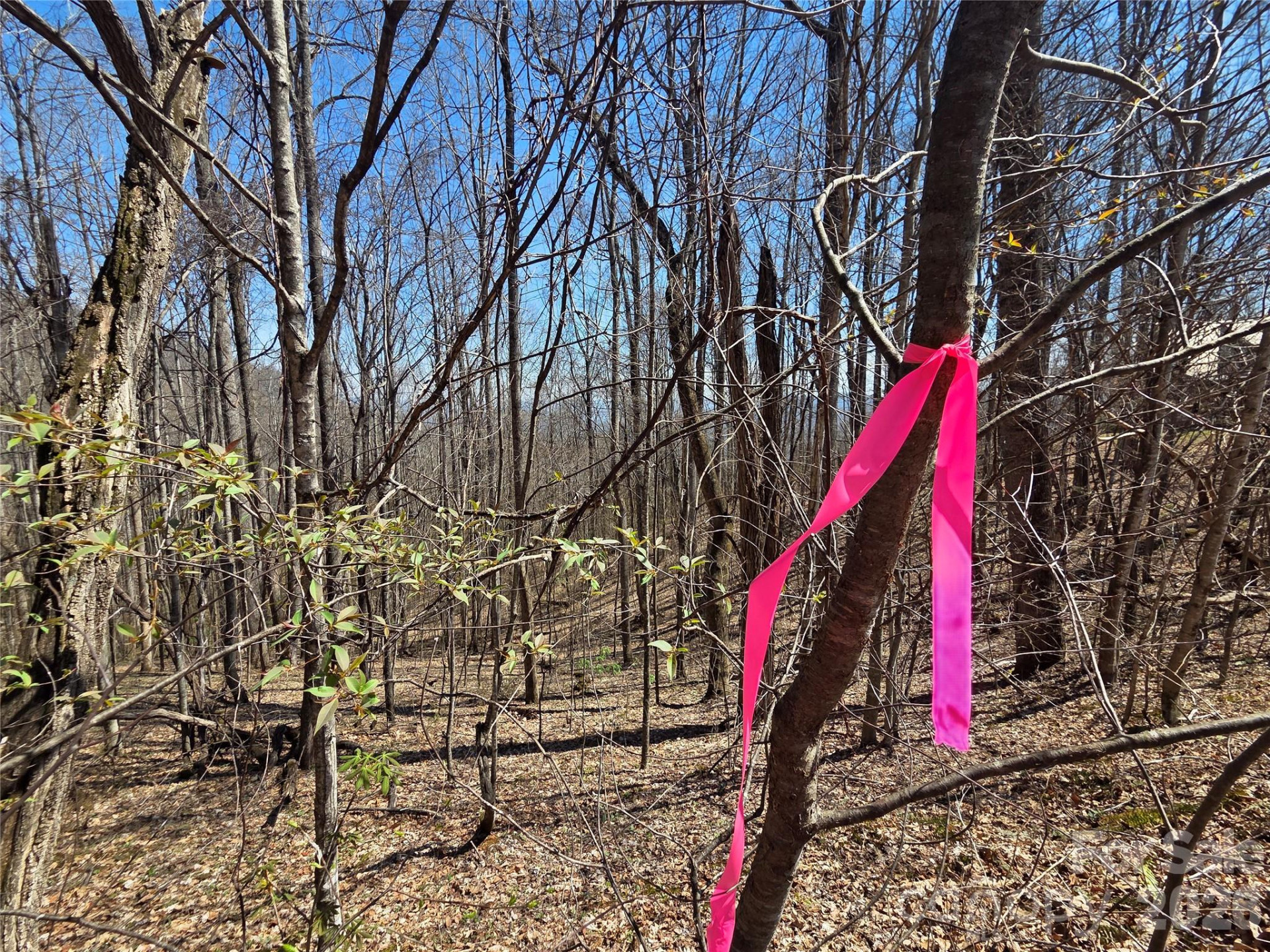 200 Wolverine Court #44 - Photo 15