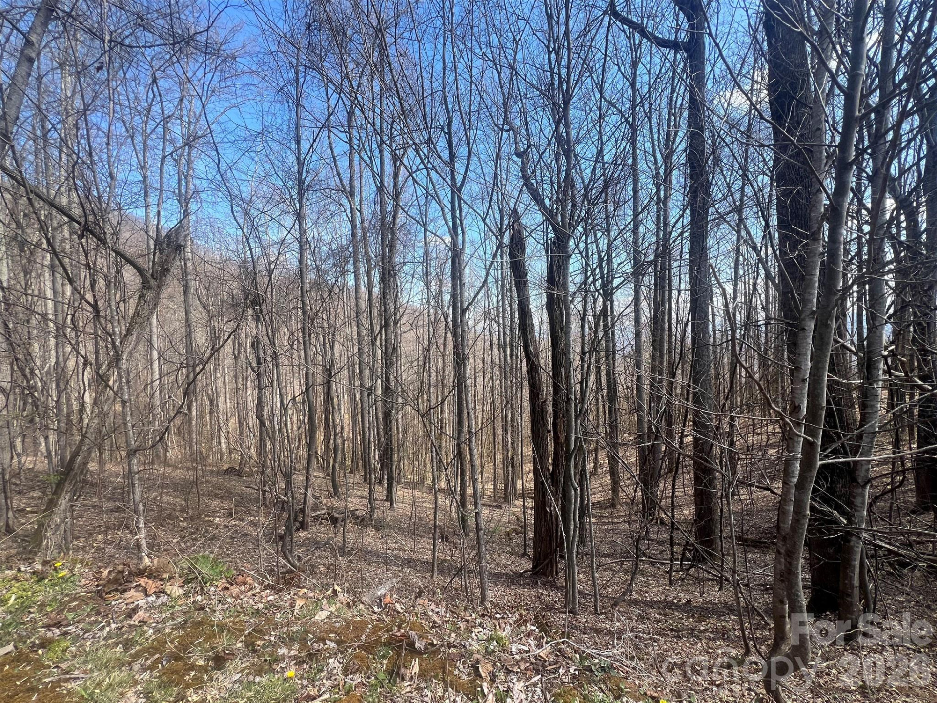 200 Wolverine Court #44 - Photo 17