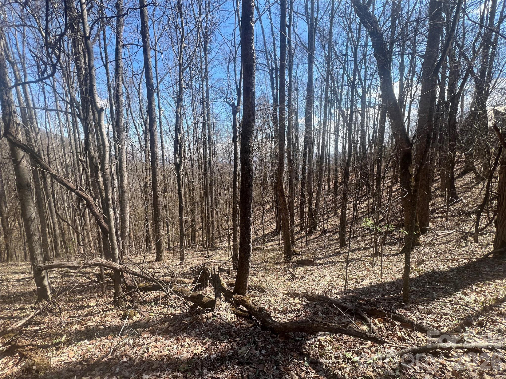 200 Wolverine Court #44 - Photo 18