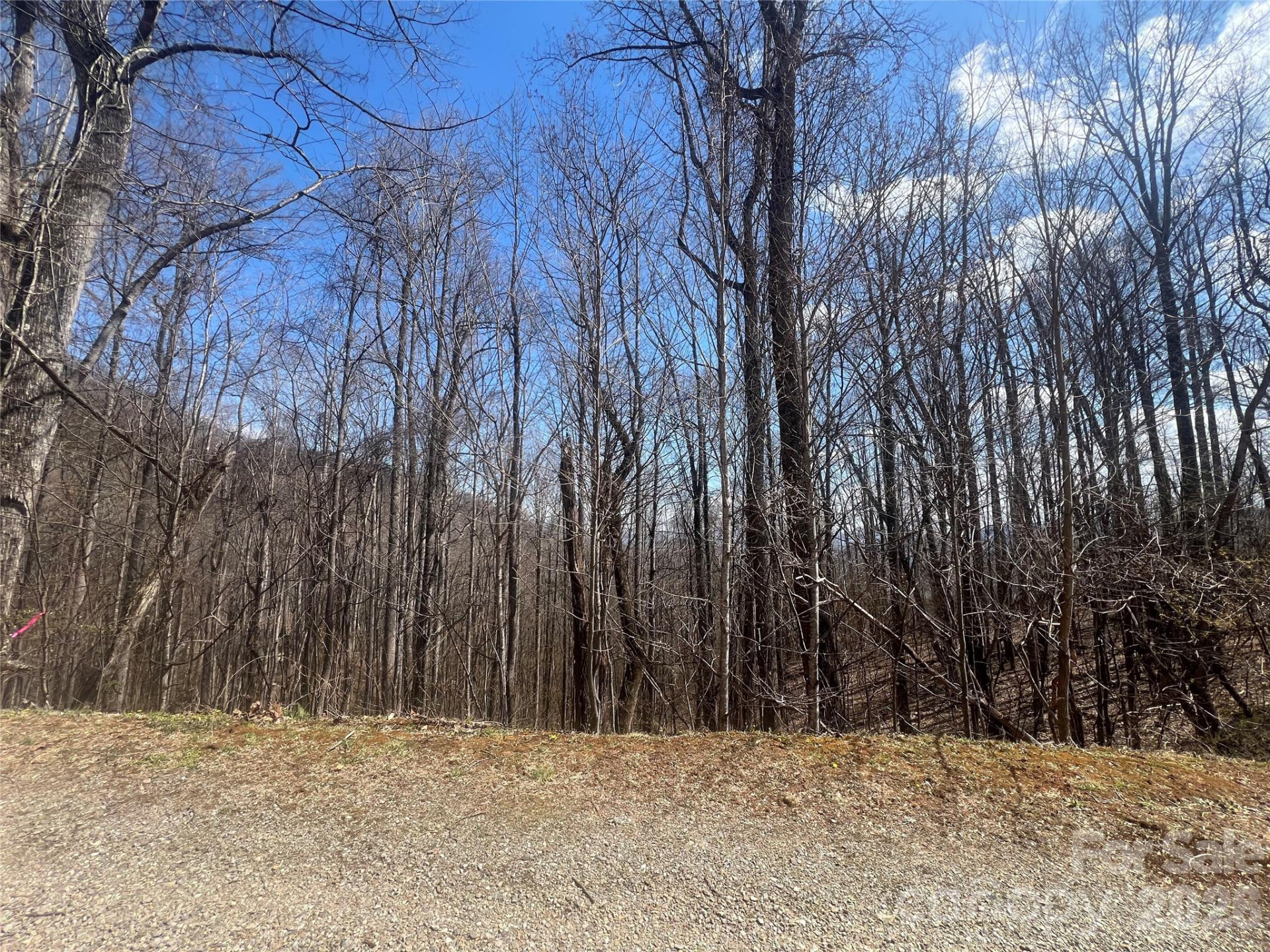 200 Wolverine Court #44 - Photo 6