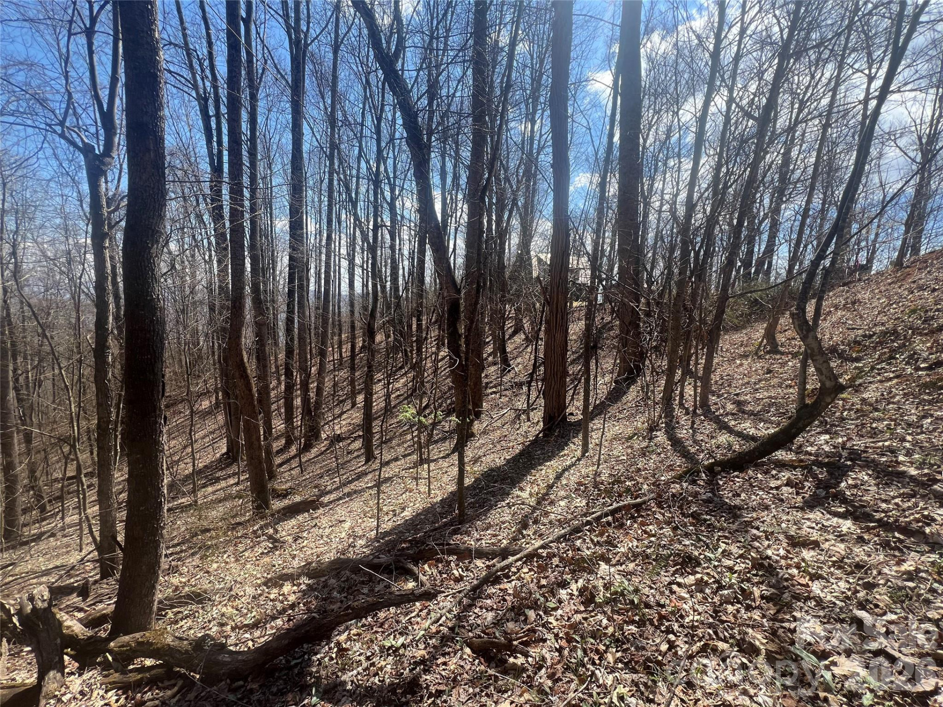 200 Wolverine Court #44 - Photo 8