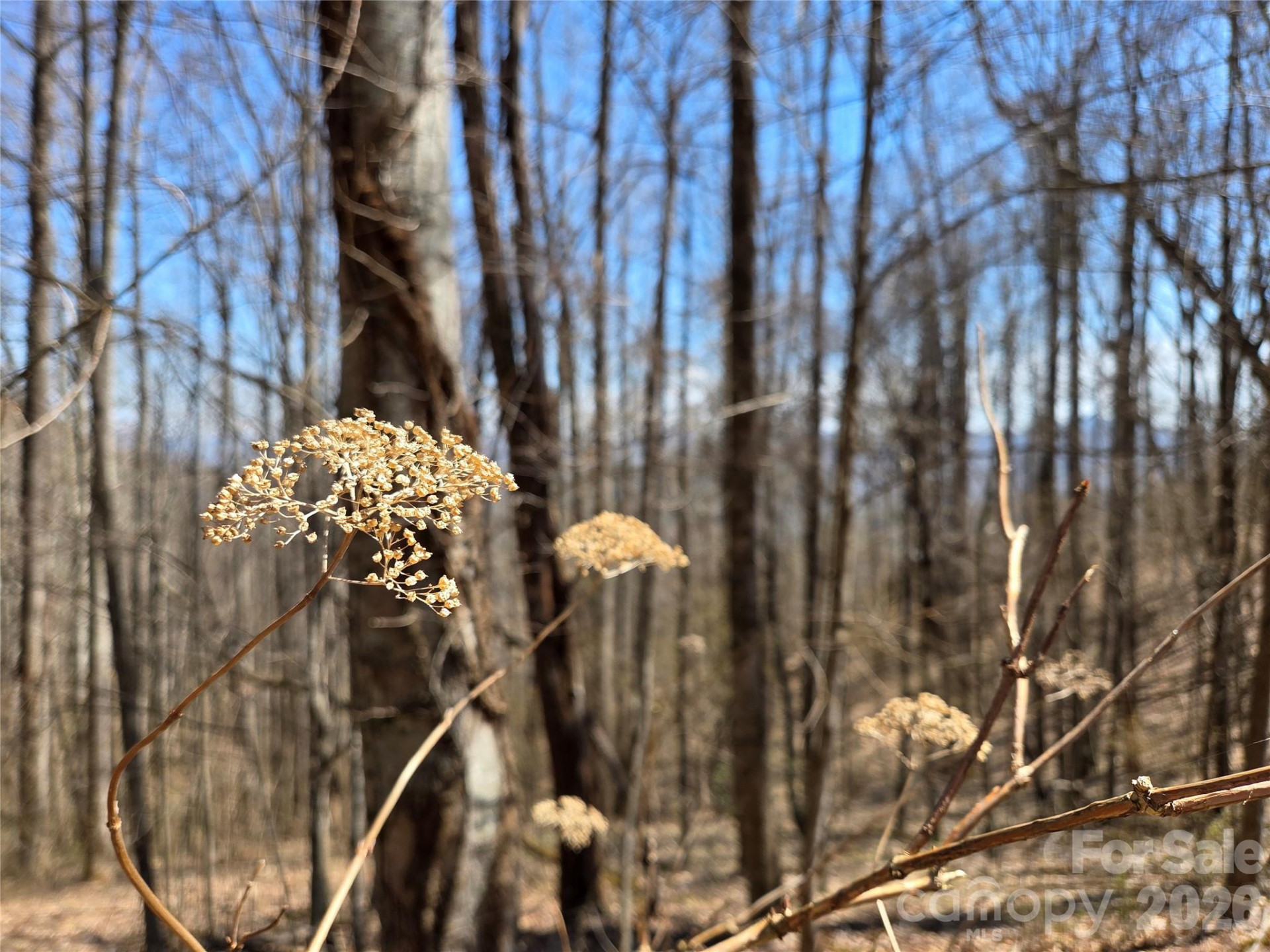 200 Wolverine Court #44 - Photo 9