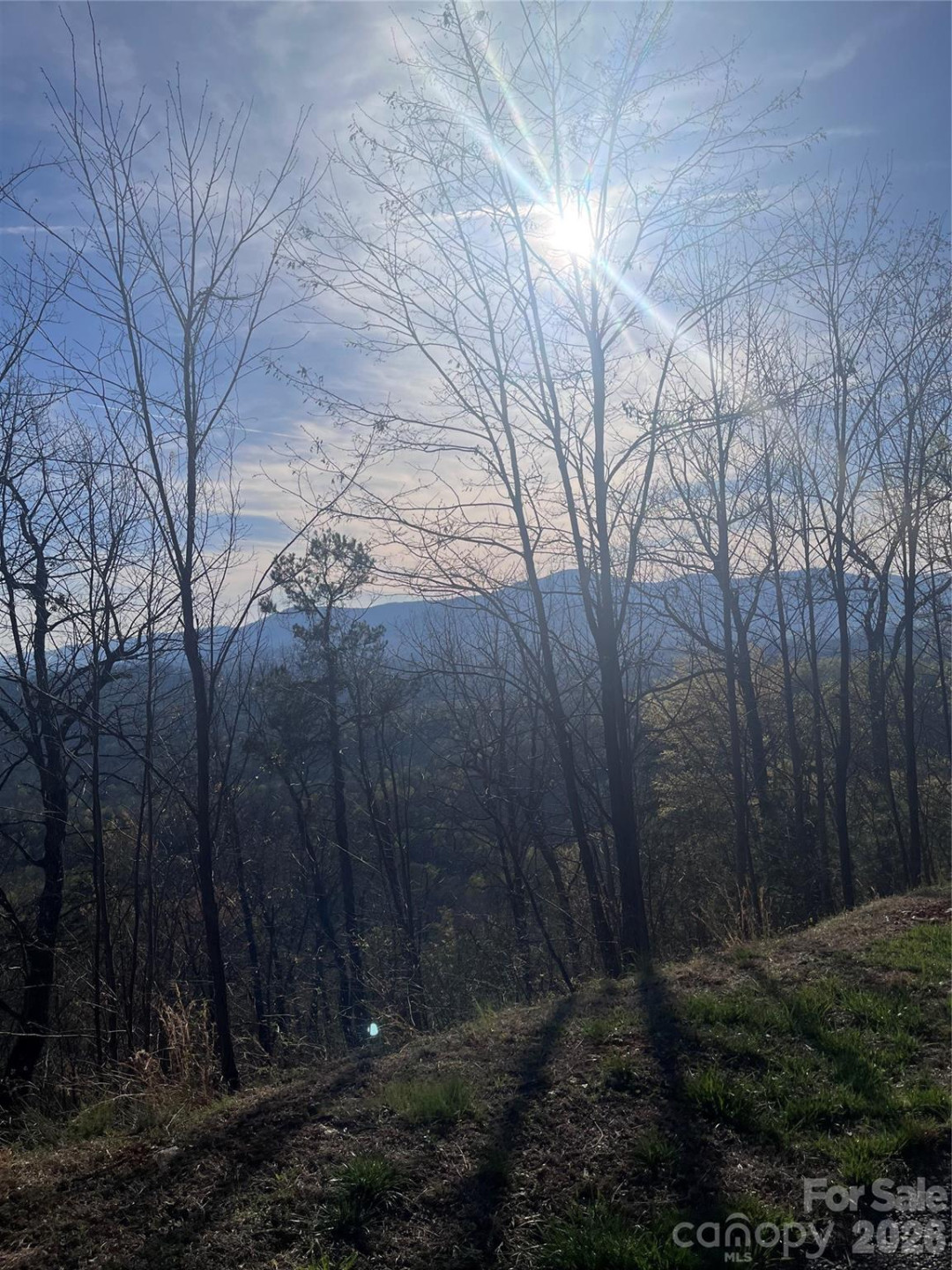 0 Bills Mountain Trail #401 - Photo 6