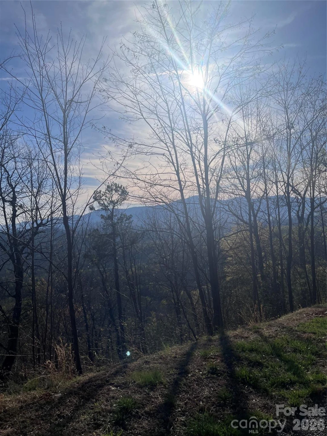 0 Bills Mountain Trail #401 - Photo 6