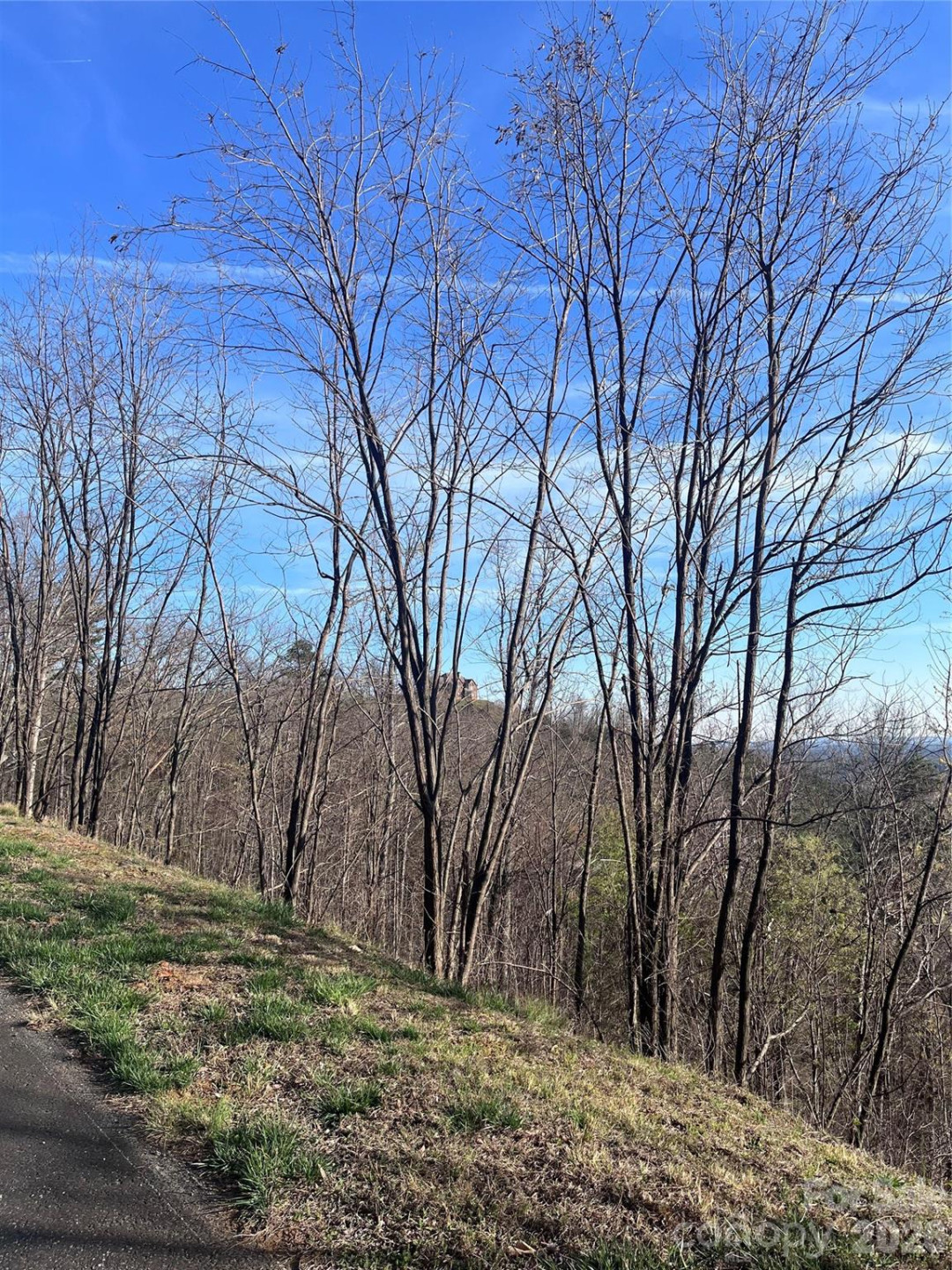 0 Bills Mountain Trail #401 - Photo 8