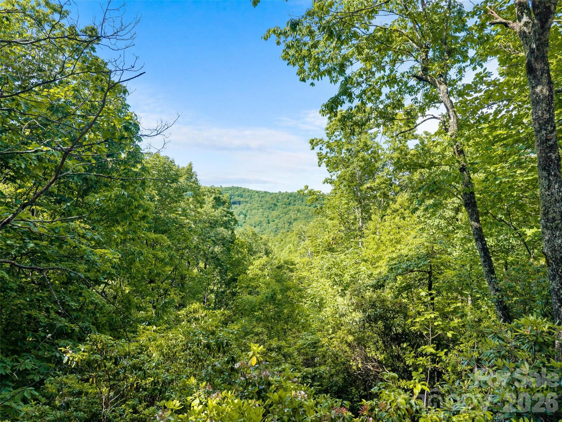 65 Gusv Drive - Photo 7