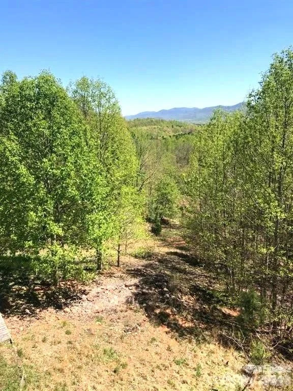 453 Grandview Peaks Drive - Photo 13