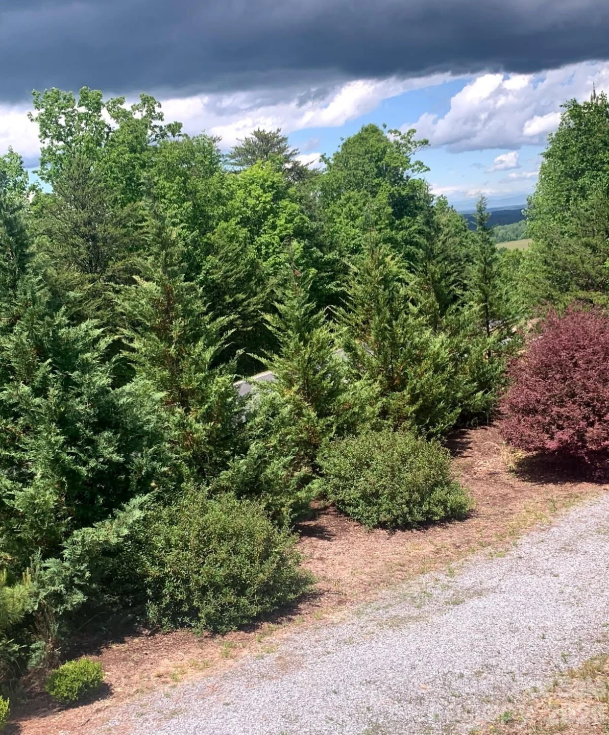 453 Grandview Peaks Drive - Photo 14