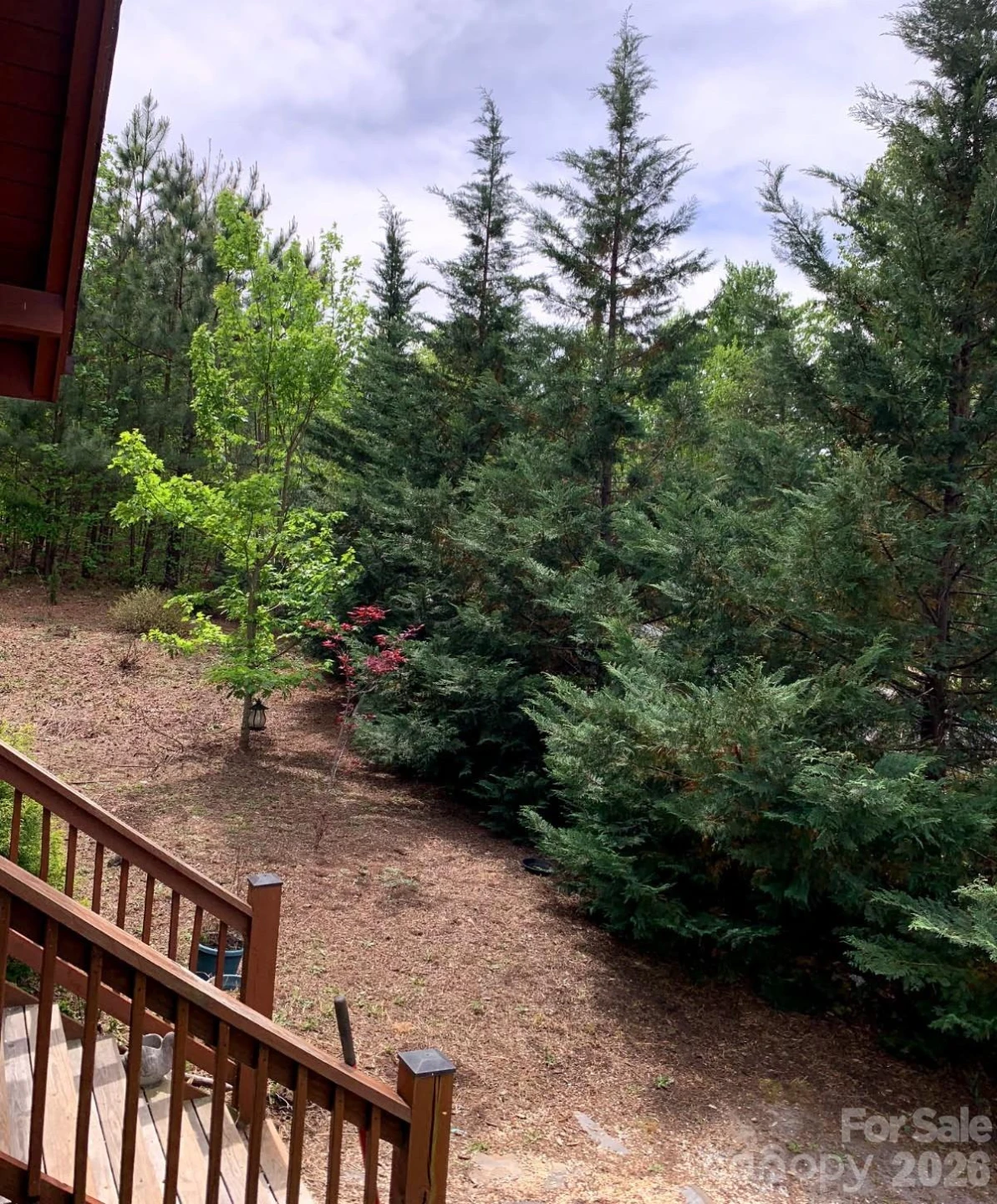 453 Grandview Peaks Drive - Photo 15