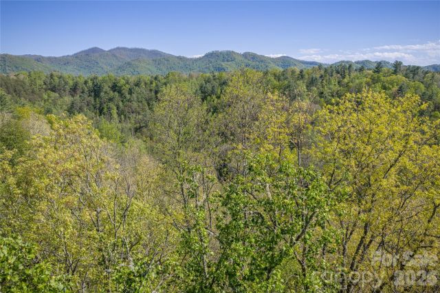 44 Marshbanks Ridge, Weaverville, NC, 28787