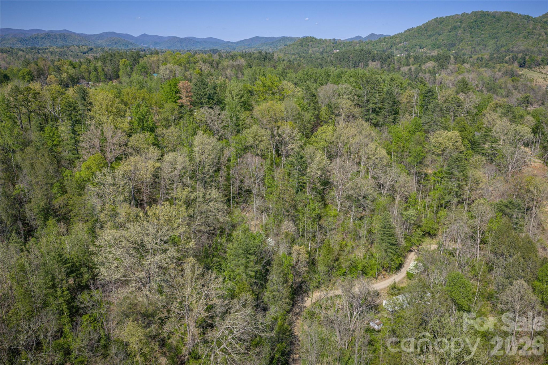 44 Marshbanks Ridge - Photo 6