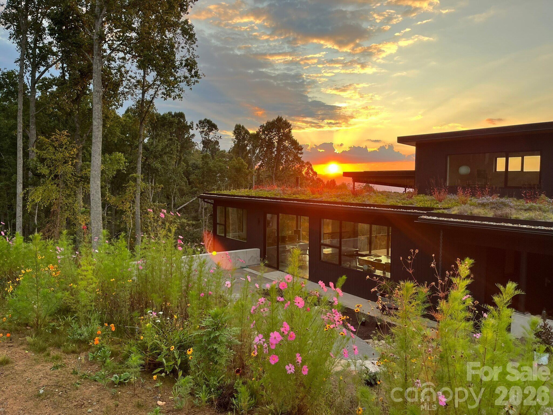 122 Elk Wallow Trail - Photo 4