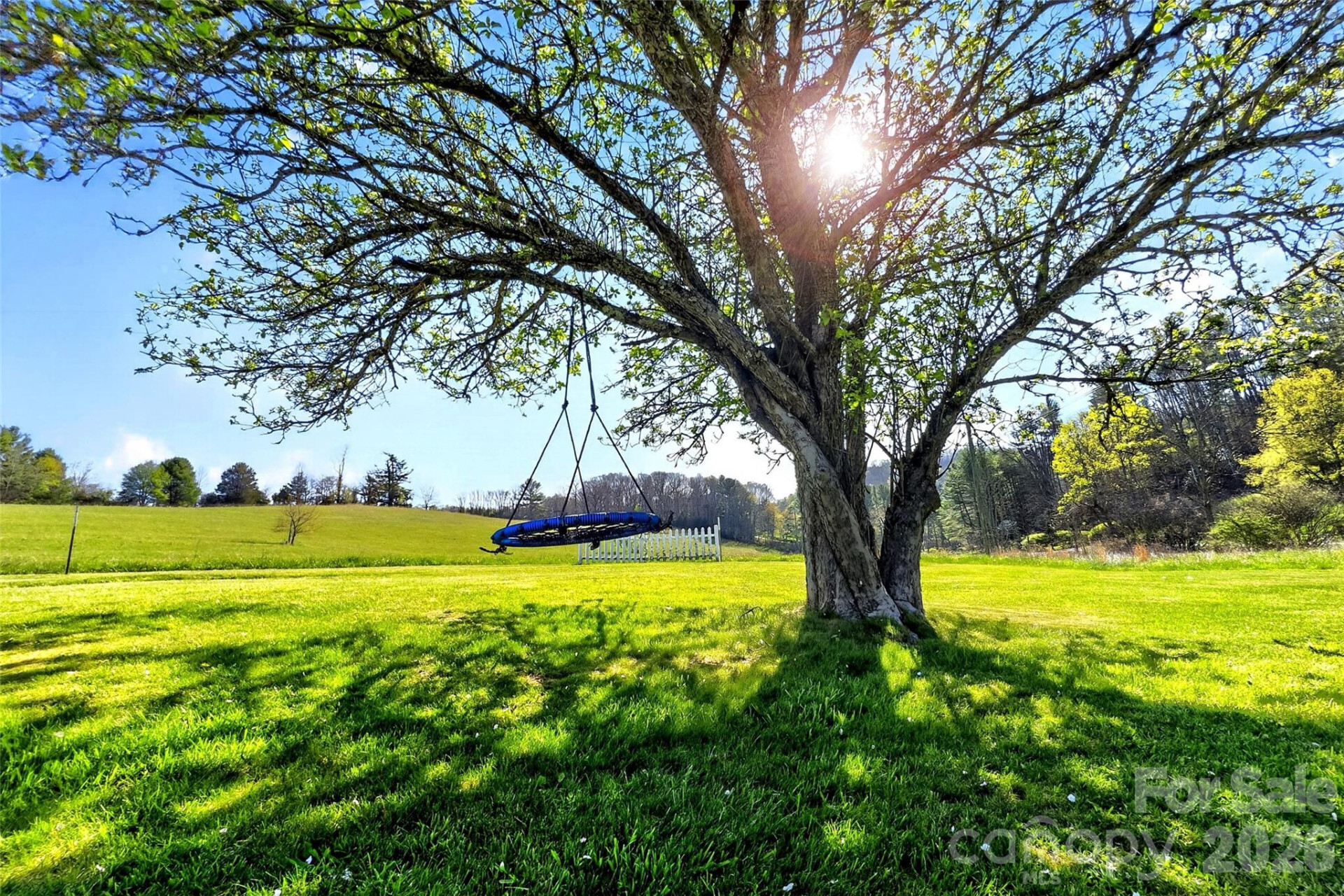 1511 White Oak Road - Photo 33