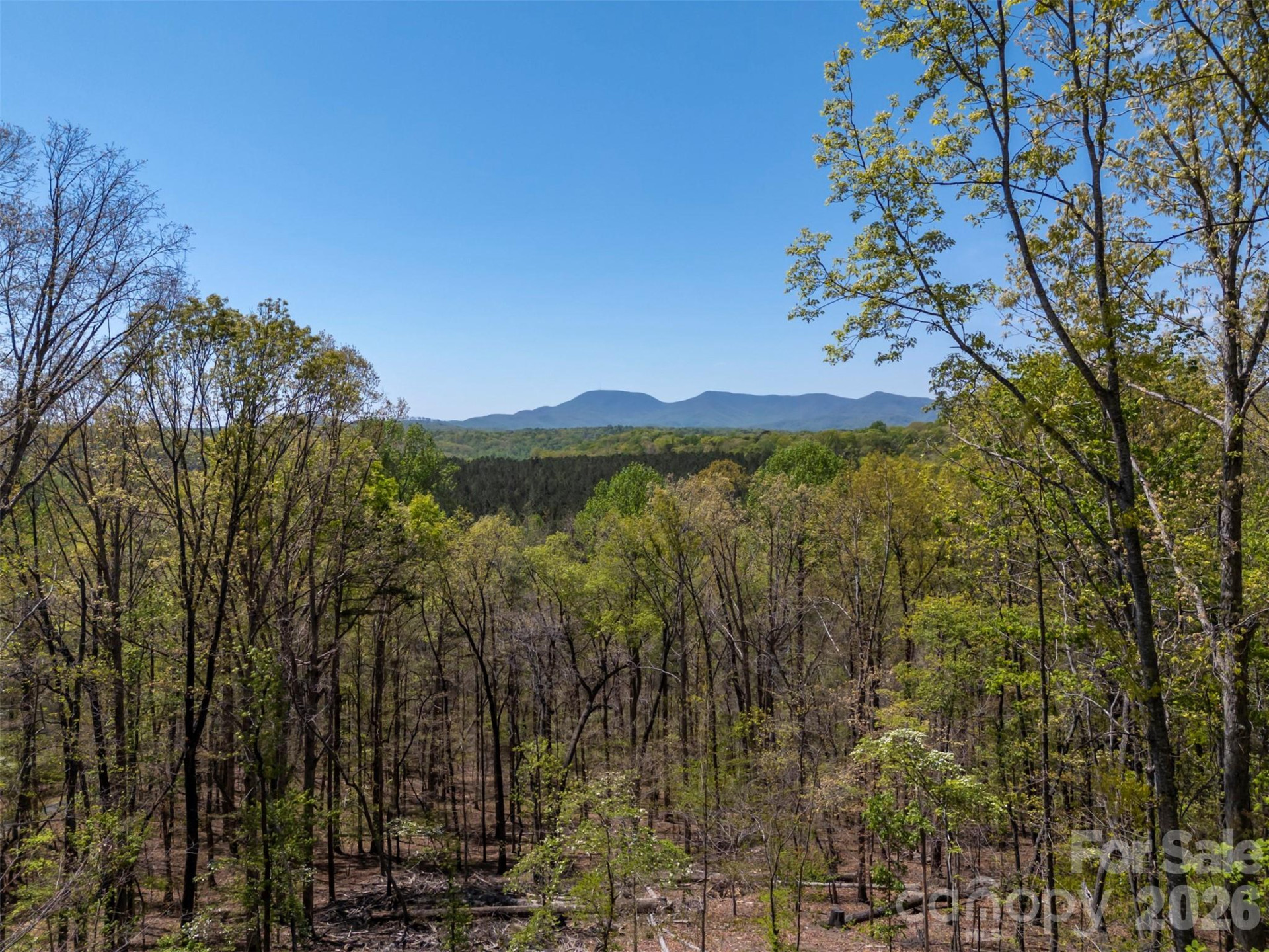 2825 River Road - Photo 2