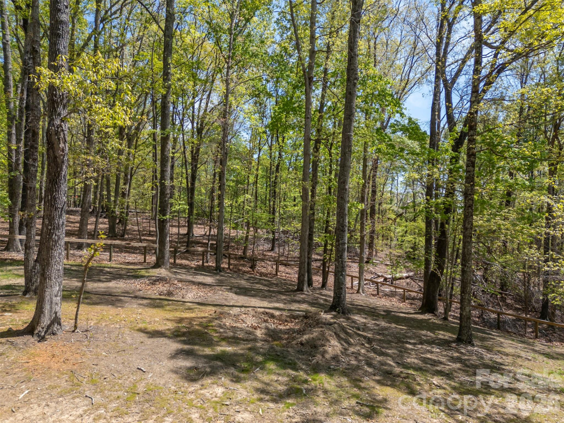 2825 River Road - Photo 40
