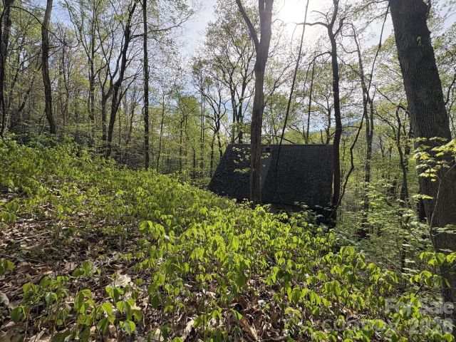 999999 Harwood Road, Barnardsville, NC, 28709